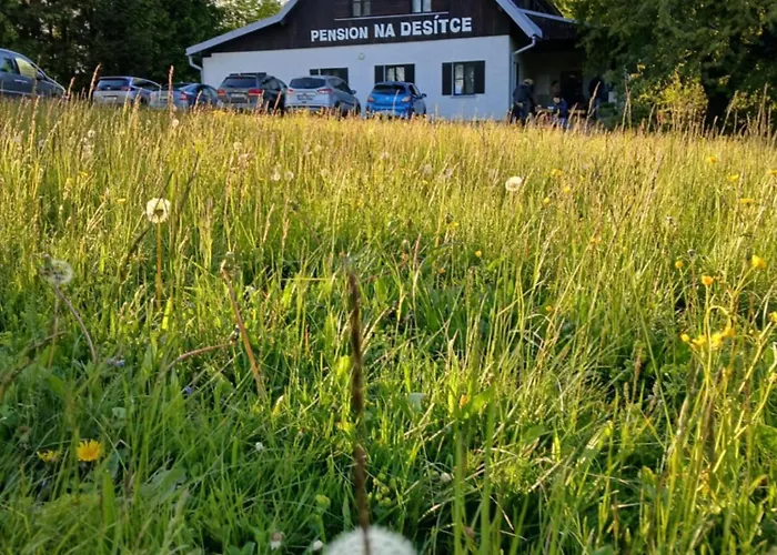 Сasa de vacaciones Na Desítce Strážné